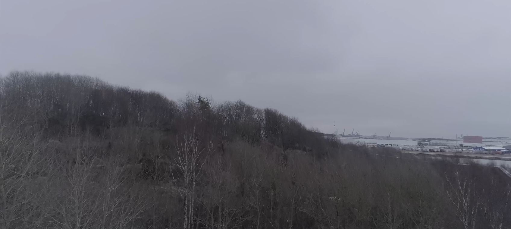 Skogslandskap